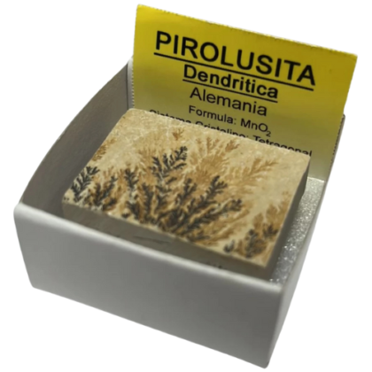 piedra en bruto, natural pirolusita (dendritica)