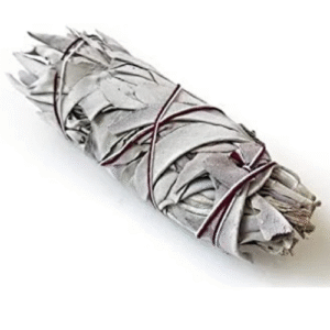 atado de salvia blanca mediana ( de california) indios americanos. original