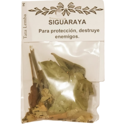 hierba siguaraya