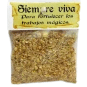 hierba siempre viva