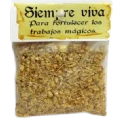 hierba siempre viva