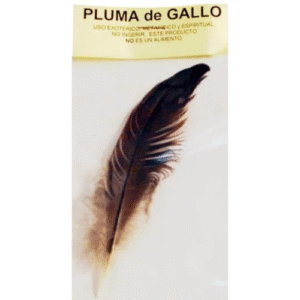 pluma de ritual