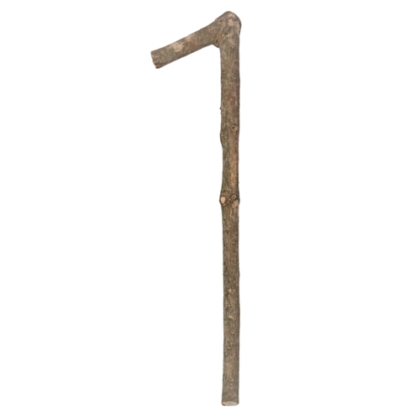 garabato de guayaba de 20 a 30 cm