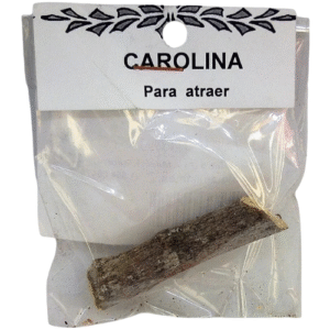 Inicio palo carolina