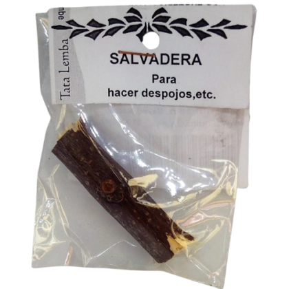 palo salvadera
