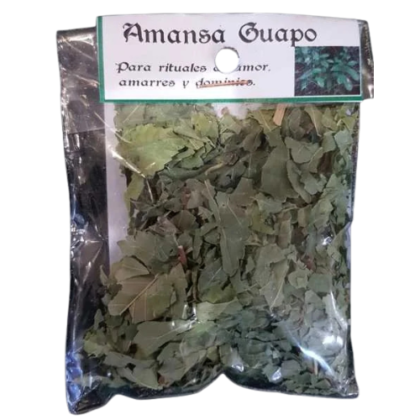 hierba amansa guapo