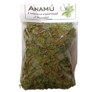 hierba anamu para desprender espíritus oscuros (no ingerir)