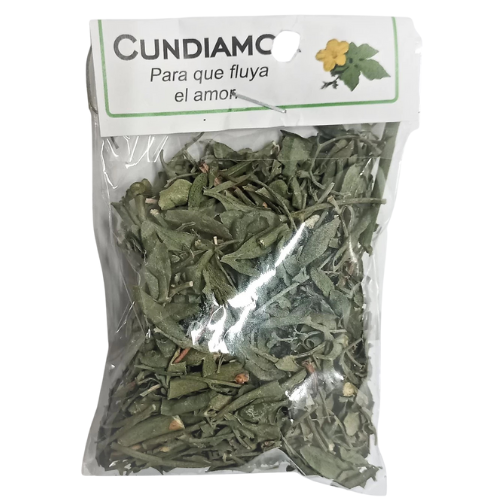 hierba cundiamor