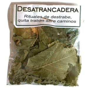 hierba desatrancadera ( destrancadera o destrabe)
