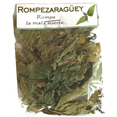 hierba rompe zaraguey