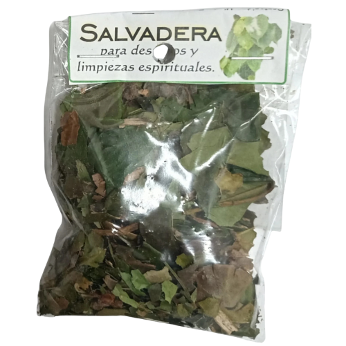 hierba salvadera, para limpiezas espirituales