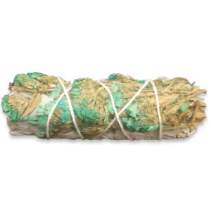 salvia (blue espuela)