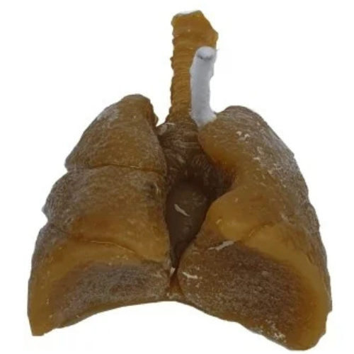 vela pulmon mini, para sanar o castigar