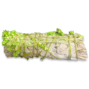 salvia (con mullein)