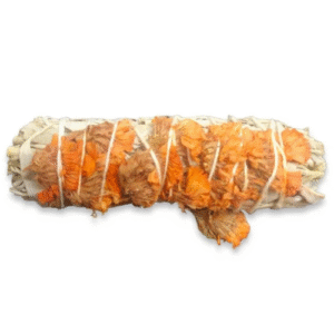 salvia (con sinuata laranja)