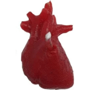 vela corazon órgano mini, para sanar o castigar