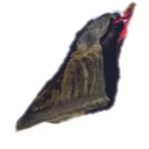 pezuña de chivo pequeña