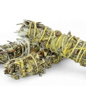 Atado eterno signo Acuario