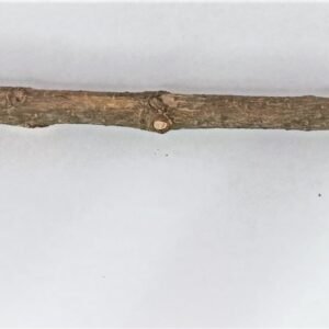 GARABATO DE GUAYABA de 20 a 30 cm