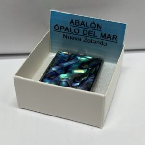 PIEDRA en bruto, natural Abalón (Ópalo del Mar)
