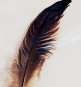 PLUMA DE RITUAL (Grande)