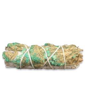 Salvia (Blue Espuela)