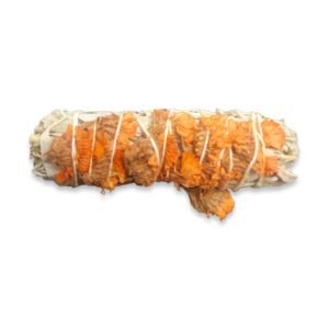 Salvia (Con Sinuata Laranja)