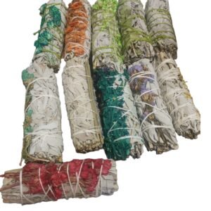 Salvia Surtida Sorpresa 15 Tipos (1)