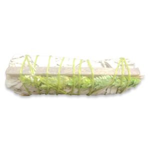 Salvia (Yellow Sinuata)