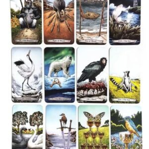 TAROT Animal totem (SUPER OFERTA)
