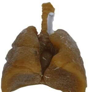 VELA PULMON Mini, para sanar o castigar