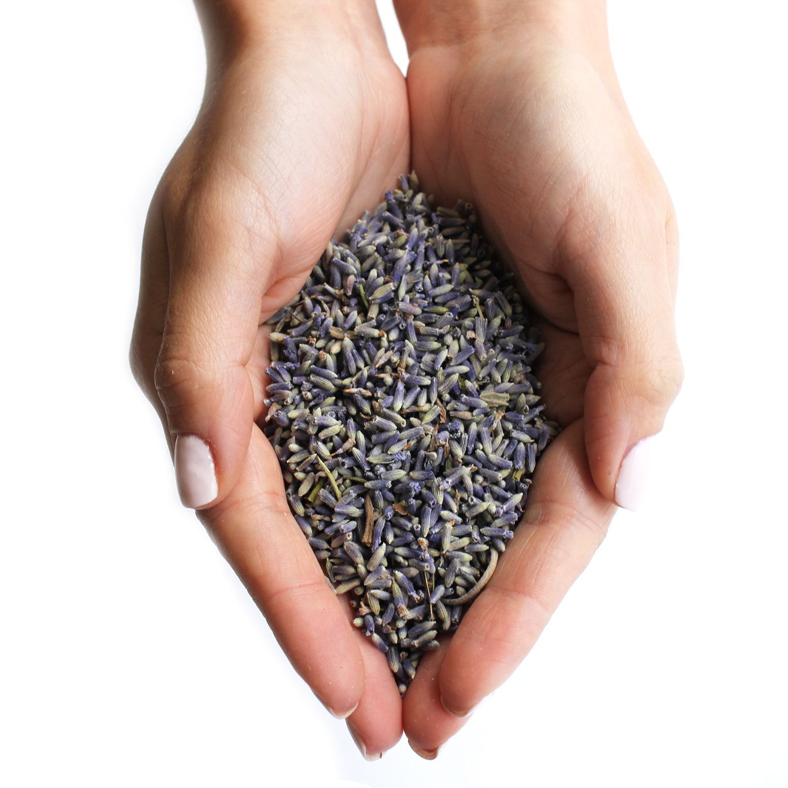 Flores de lavanda (1KG) - Imagen 4