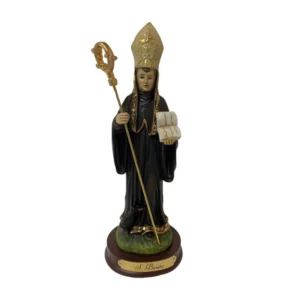 San Benito 24 cm.