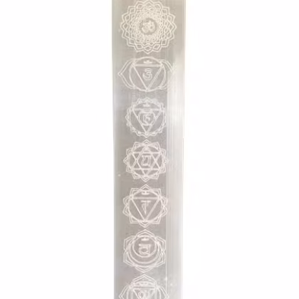 Placa de Carga de Barra Plana 20cm - Chakra