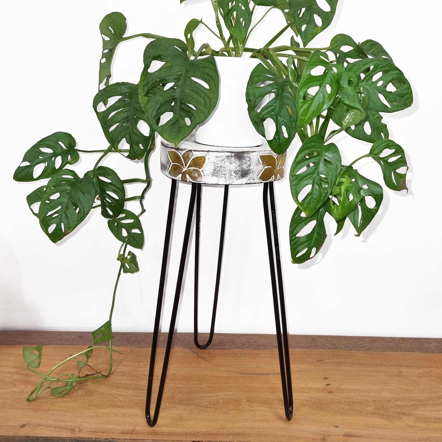 Soporte para plantas de madera de Albasia - Blanqueado - Imagen 5