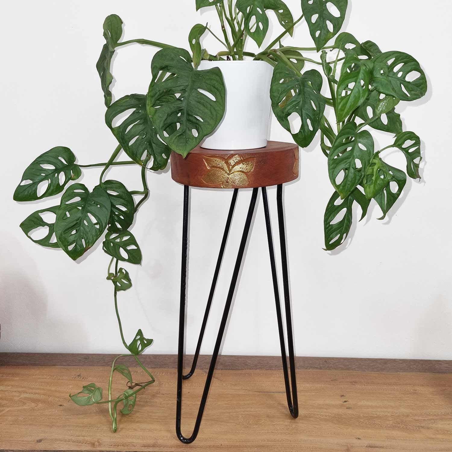Soporte para plantas de madera de Albasia - Blanqueado - Imagen 2