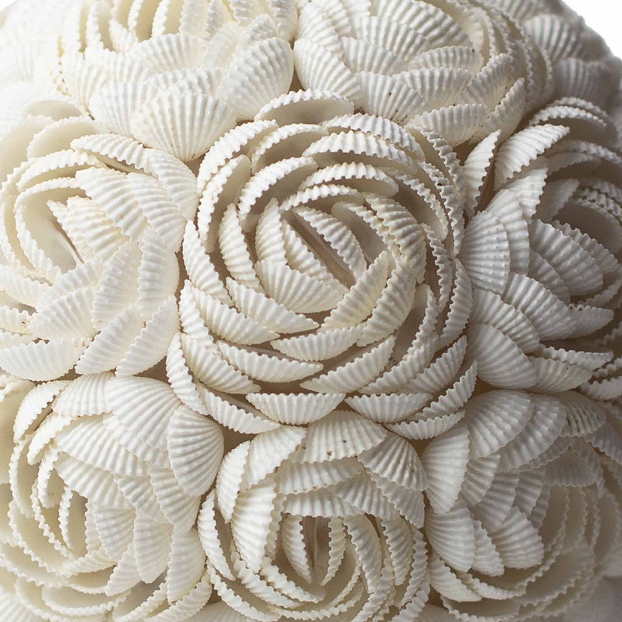 Lámpara Boho Sea Shell - Rosa Ovalada - 20cm - Imagen 2