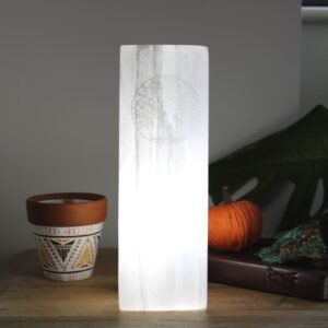 Lámpara Bloque Selenita 25cm - Árbol de la Vida