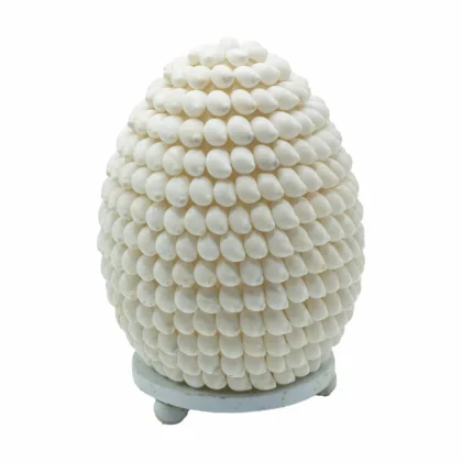 Lámpara Boho de Conchas Marinas - Concha Buting Ovalada