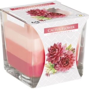 Vela Aromática Arcoíris - Flor de cactus
