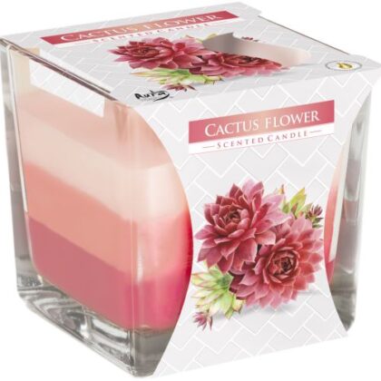 Vela Aromática Arcoíris - Flor de cactus