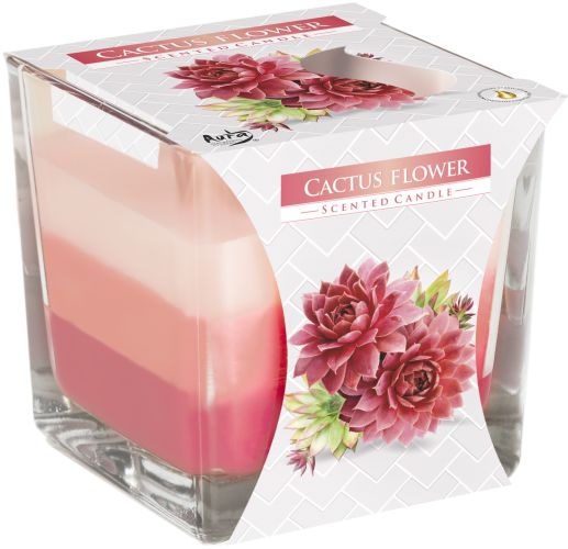 Vela Aromática Arcoíris - Flor de cactus